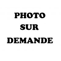 Renault 19 clio megane twingo kangoo - Jeu 2 de disques de frein VALEO